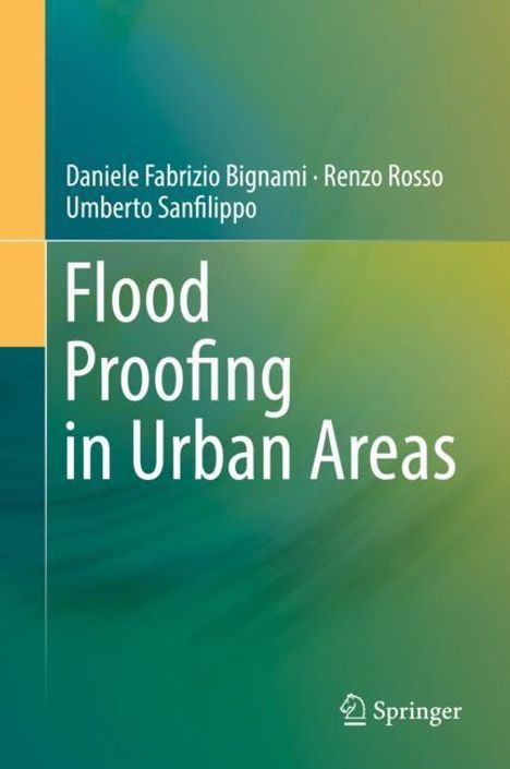 Daniele Fabrizio Bignami: Flood Proofing in Urban Areas, Buch