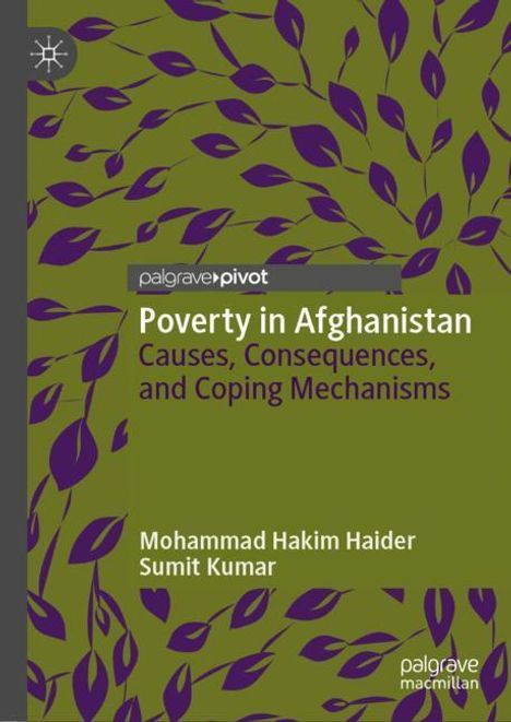 Sumit Kumar: Poverty in Afghanistan, Buch