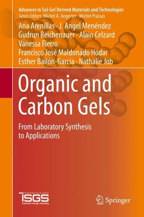 Ana Arenillas: Organic and Carbon Gels, Buch