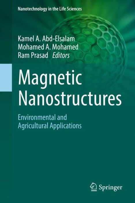 Magnetic Nanostructures, Buch
