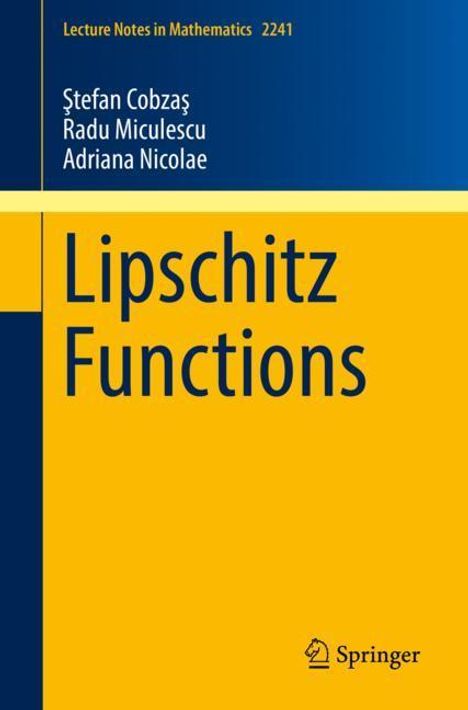 ¿Tefan Cobza¿: Lipschitz Functions, Buch