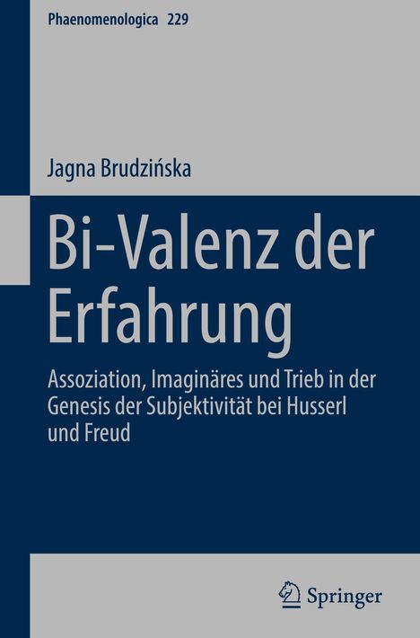 Jagna Brudzi¿ska: Bi-Valenz der Erfahrung, Buch