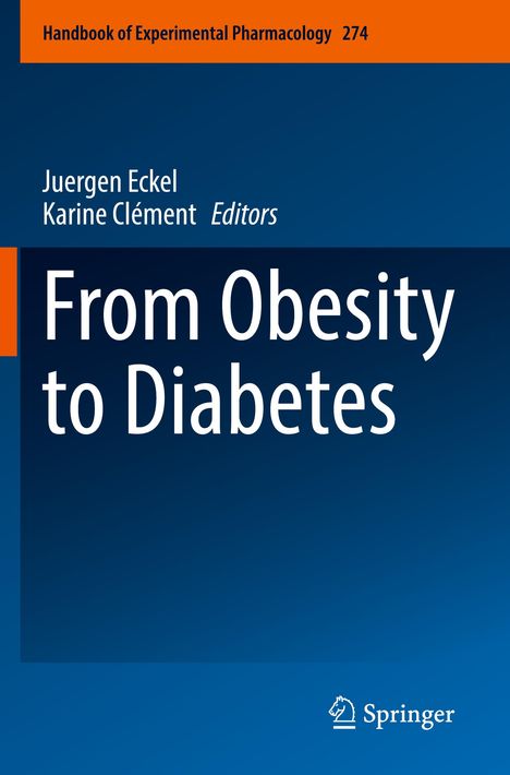 From Obesity to Diabetes, Buch