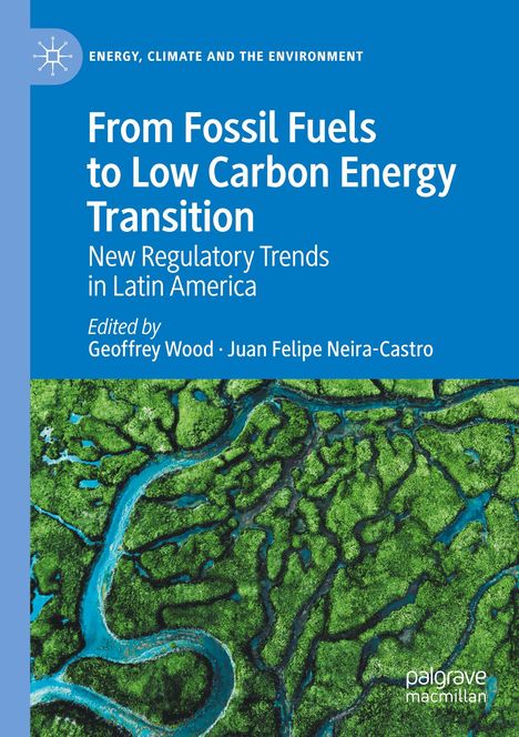 From Fossil Fuels to Low Carbon Energy Transition, Buch