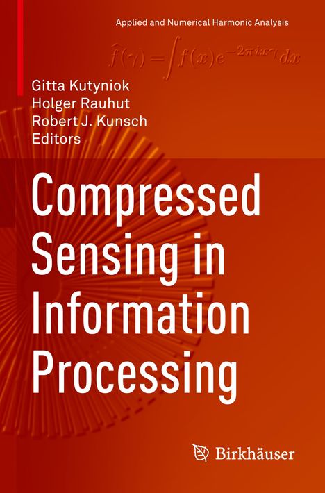 Compressed Sensing in Information Processing, Buch