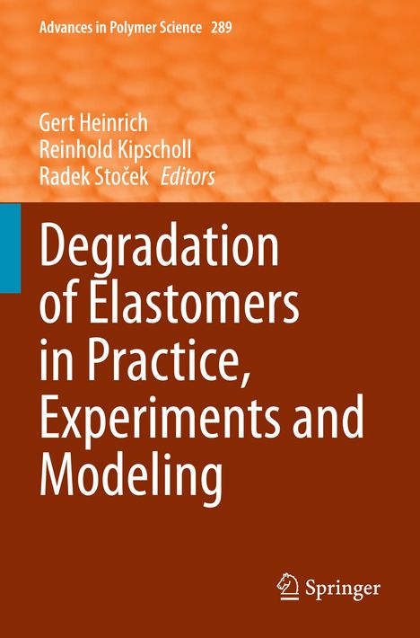 Degradation of Elastomers in Practice, Experiments and Modeling, Buch