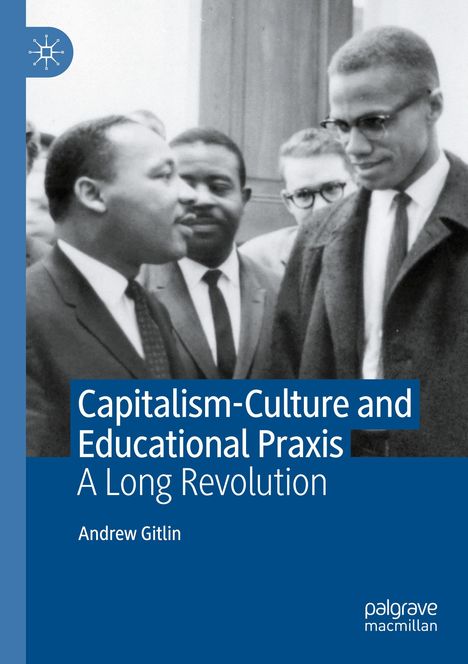 Andrew Gitlin: Capitalism-Culture and Educational Praxis, Buch