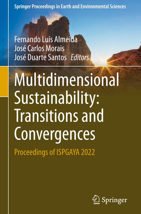 Multidimensional Sustainability: Transitions and Convergences, Buch