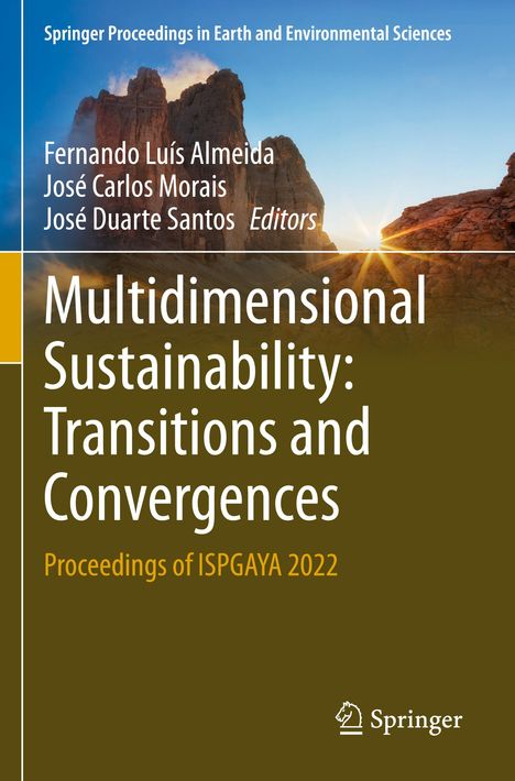 Multidimensional Sustainability: Transitions and Convergences, Buch