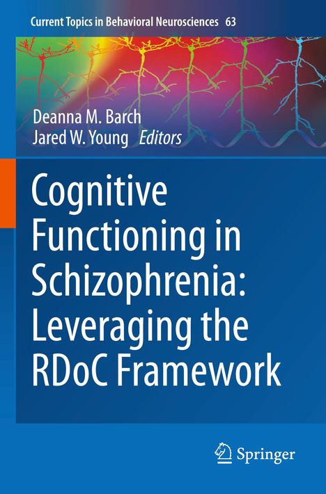Cognitive Functioning in Schizophrenia: Leveraging the RDoC Framework, Buch