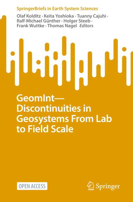 GeomInt¿Discontinuities in Geosystems From Lab to Field Scale, Buch