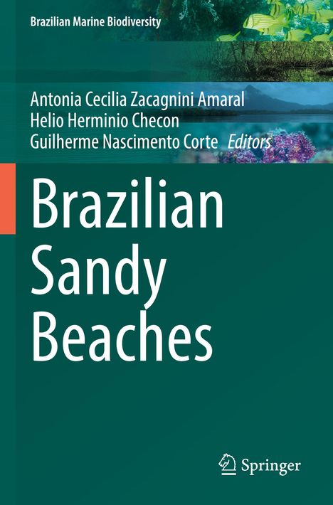 Brazilian Sandy Beaches, Buch