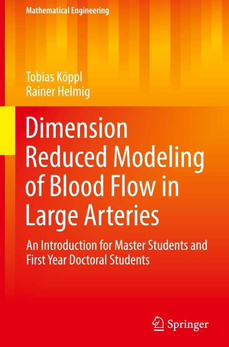Rainer Helmig: Dimension Reduced Modeling of Blood Flow in Large Arteries, Buch