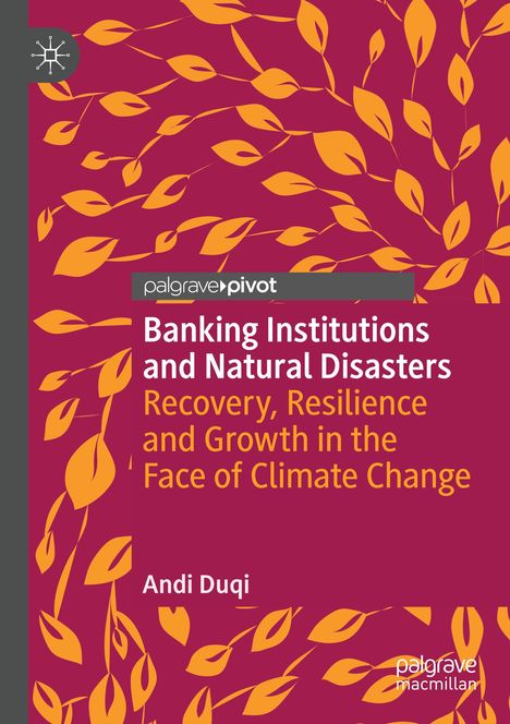 Andi Duqi: Banking Institutions and Natural Disasters, Buch