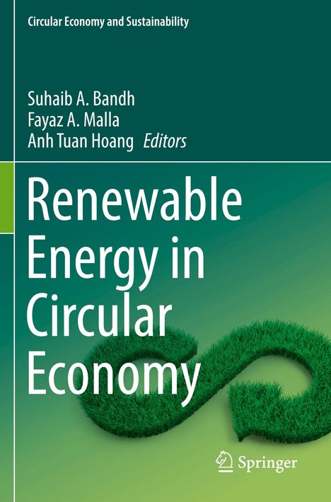 Renewable Energy in Circular Economy, Buch