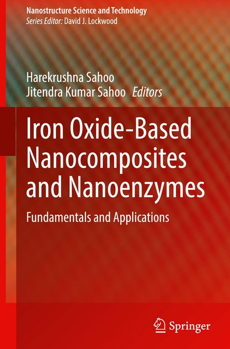 Iron Oxide-Based Nanocomposites and Nanoenzymes, Buch