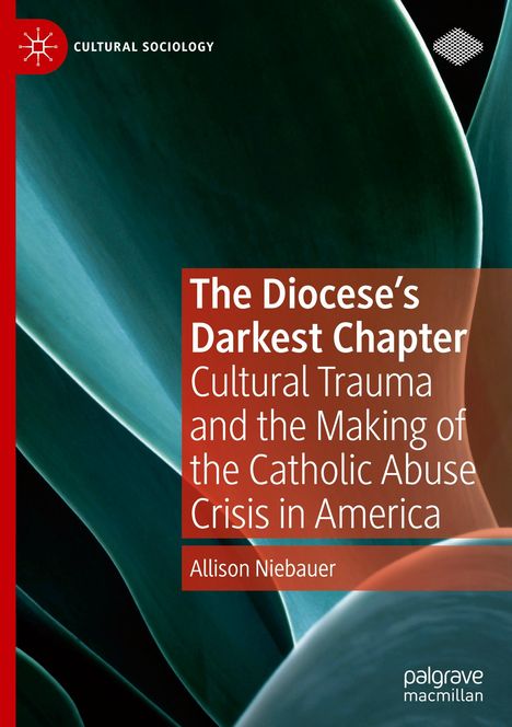 Allison Niebauer: The Diocese's Darkest Chapter, Buch