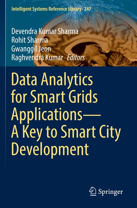 Data Analytics for Smart Grids Applications¿A Key to Smart City Development, Buch