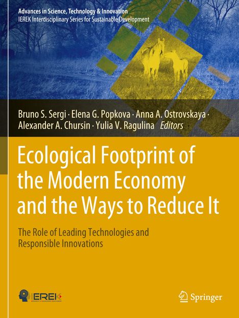 Ecological Footprint of the Modern Economy and the Ways to Reduce It, Buch