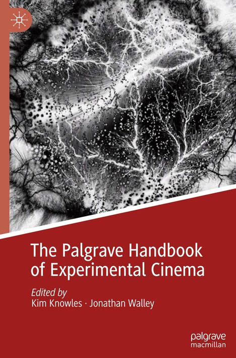 The Palgrave Handbook of Experimental Cinema, Buch