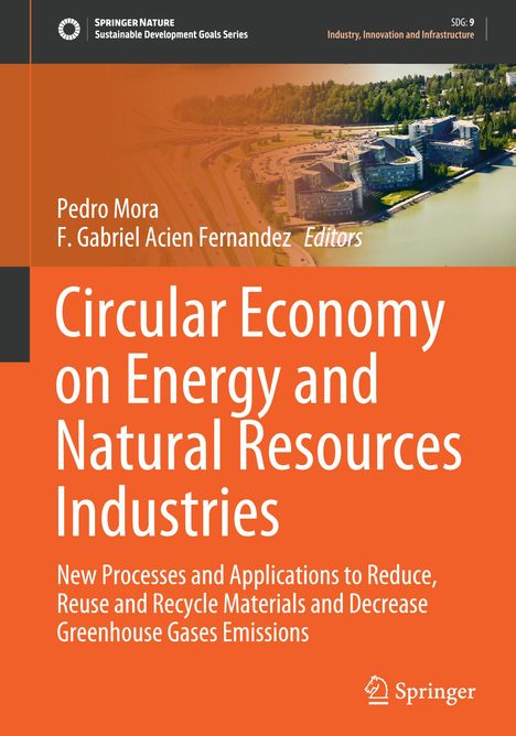 Circular Economy on Energy and Natural Resources Industries, Buch