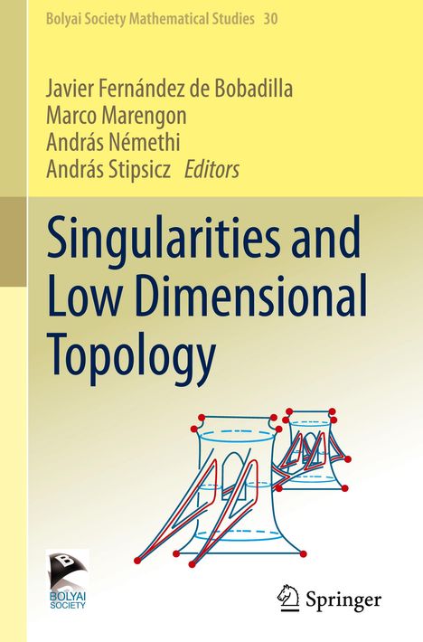 Singularities and Low Dimensional Topology, Buch