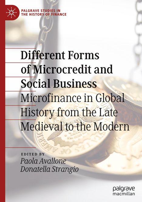 Different Forms of Microcredit and Social Business, Buch