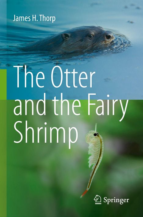 "James H. Thorp. The Otter and the Fairy Shrimp. Ein Otter schwimmt im Wasser, daneben eine Feenkrebsillustration."