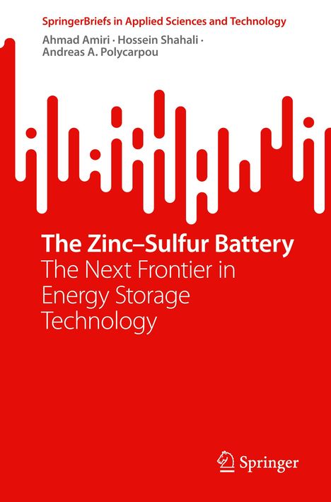 Ahmad Amiri: The Zinc¿Sulfur Battery, Buch