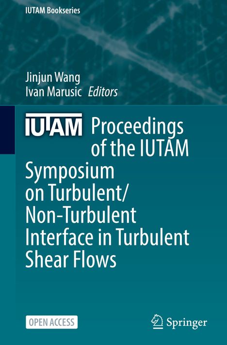 Proceedings of the IUTAM Symposium on Turbulent/Non-Turbulent Interface in Turbulent Shear Flows, Buch