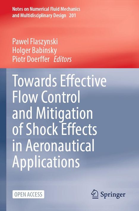 "Towards Effective Flow Control and Mitigation of Shock Effects in Aeronautical Applications" vor rotem und blauem Verlauf.