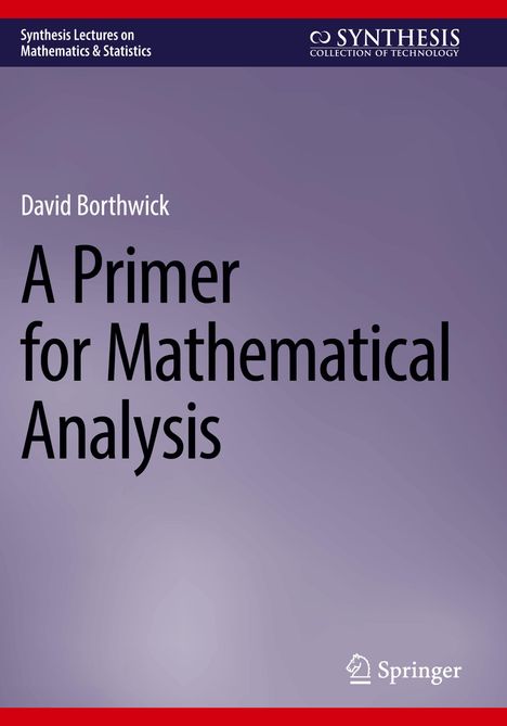 Titel: "A Primer for Mathematical Analysis" von David Borthwick. Lila Hintergrund, Springer Logo unten.