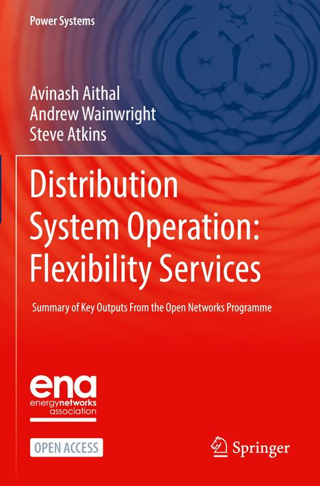 "Distribution System Operation: Flexibility Services" steht in Weiß auf rotem Hintergrund mit Kreis-Muster. Springer-Logo unten.