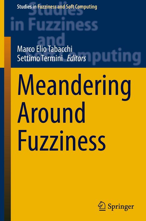 „Meandering Around Fuzziness“ von Marco Elio Tabacchi und Settimo Termini. Blau-gelb gestaltet, mit Springer-Logo.