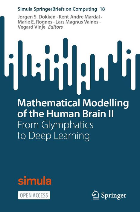 Mathematical Modelling of the Human Brain II, Buch