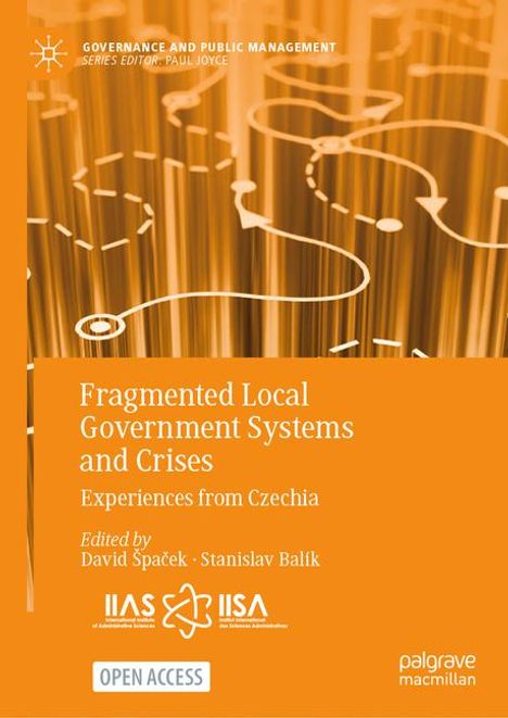 David ¿Pa¿Ek: Fragmented Local Government Systems and Crises, Buch