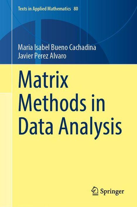 Titel: "Matrix Methods in Data Analysis" von Maria Isabel Bueno Cachadina und Javier Perez Alvaro, Verlag: Springer.