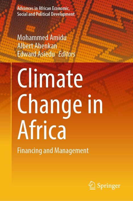 "Climate Change in Africa: Financing and Management" steht groß vor einem orange-gelben Muster. Springer-Logo unten.
