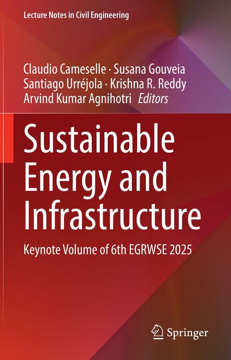 "Sustainable Energy and Infrastructure" in großen weißen Buchstaben auf rotem Hintergrund, Springer-Logo unten.