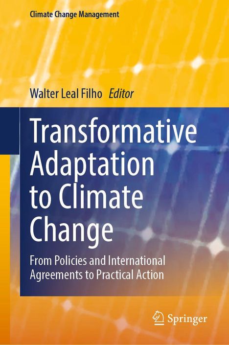 "Transformative Adaptation to Climate Change". Ein blau-oranger Hintergrund mit geometrischen Mustern und einem Springer-Logo.