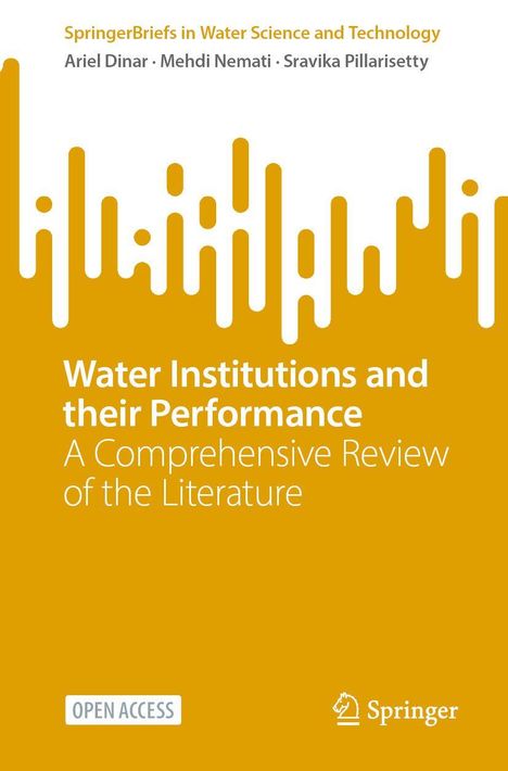 "Water Institutions and their Performance: A Comprehensive Review of the Literature". Orange Hintergrund, Springerverlag-Logo.