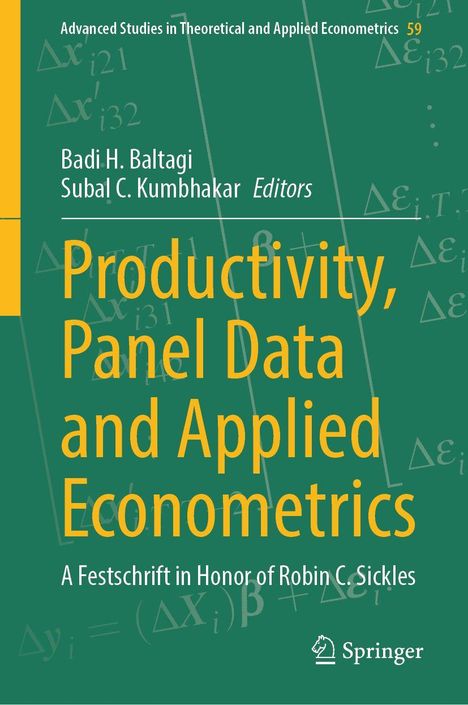 Titel: Productivity, Panel Data and Applied Econometrics. Grün mit mathematischen Formeln. Springer-Logo unten rechts.