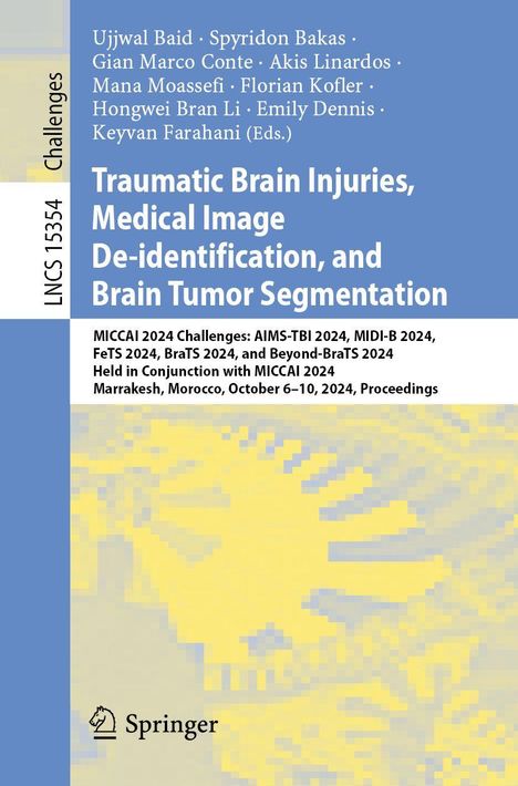 Text: "Traumatic Brain Injuries, Medical Image De-identification, and Brain Tumor Segmentation." Unten Springer-Logo.
