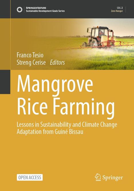 „Springer Nature Sustainable Development Goals Series“. „Mangrove Rice Farming“. Viele Gebäude im Hintergrund.