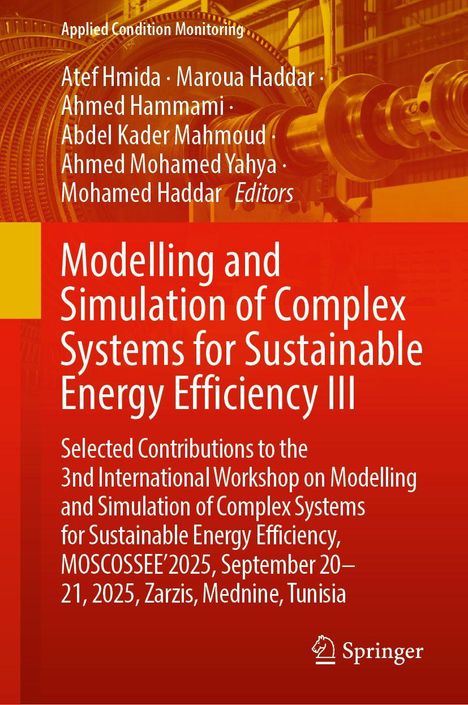 Buchtitel: Modelling and Simulation of Complex Systems for Sustainable Energy Efficiency III. Rotes abstraktes Design.