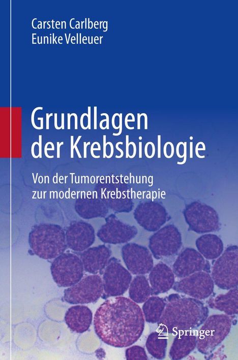 „Grundlagen der Krebsbiologie. Von der Tumorentstehung zur modernen Krebstherapie.“ Artnahaufnahme von Zellen.
