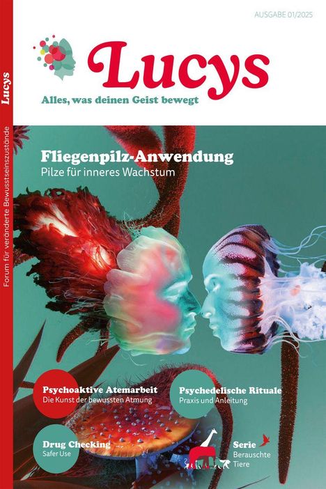 "Fliegenpilz-Anwendung: Pilze für inneres Wachstum." Zwei abstrakte, farbige Gesichter stehen sich gegenüber.