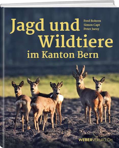 Peter Juesy: Jagd und Wildtiere im Kanton Bern, Buch