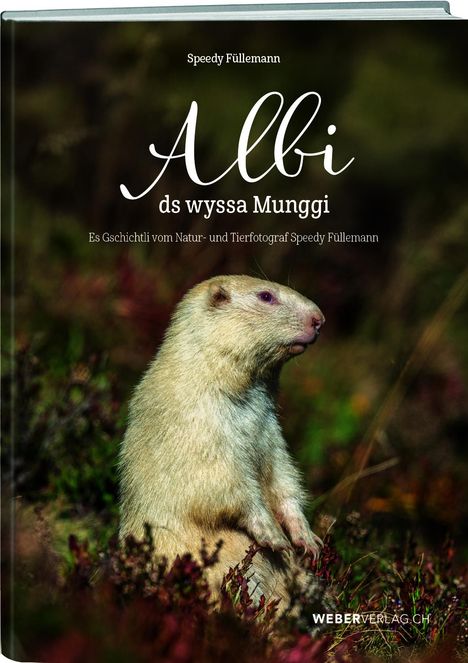 Speedy Füllemann: Albi ds wyssa Munggi, Buch
