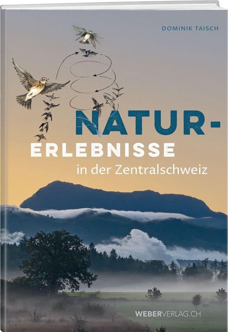 NATUR-ERLEBNISSE in der Zentralschweiz. Illustration von Vögeln, Berge mit Bäumen und Nebel im Vordergrund.